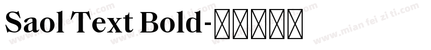 Saol Text Bold字体转换